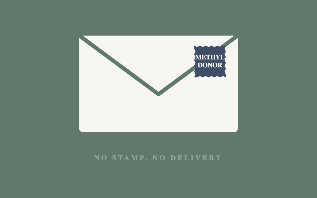 An envelope with a stamp reading methyl donor, above the words no stamp no delivery